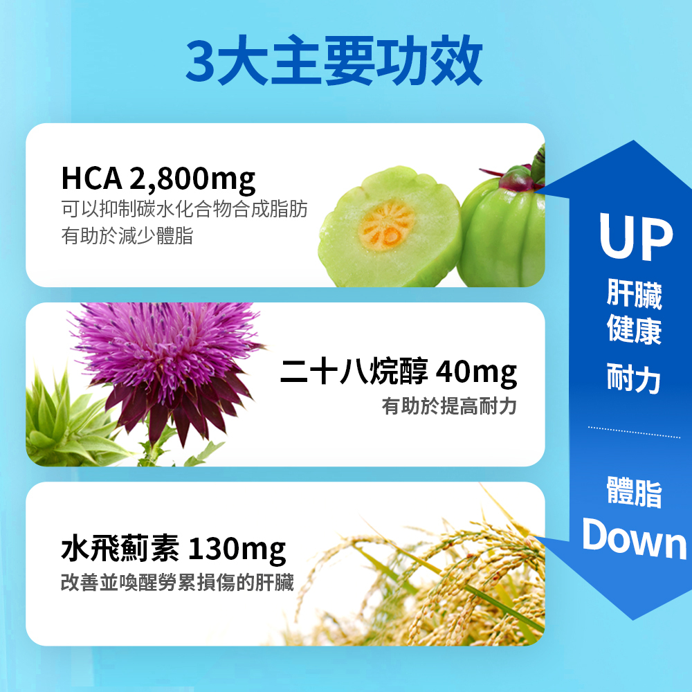 [明星同款] 1個月甩大肚腩塑形計劃(贈送水瓶)